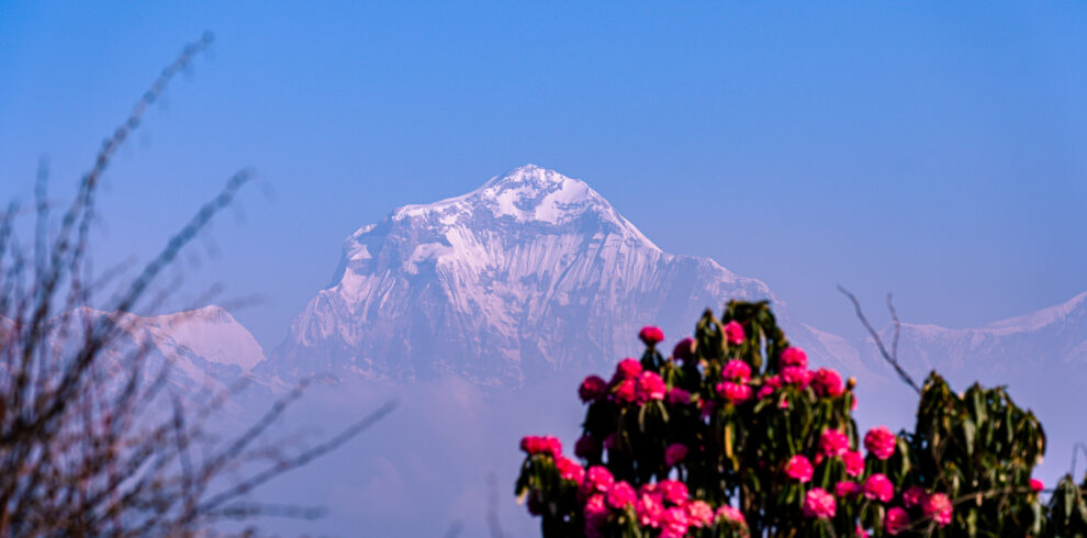 mount-dhaulagiri-range-2024-03-18-00-38-24-utc